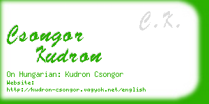 csongor kudron business card